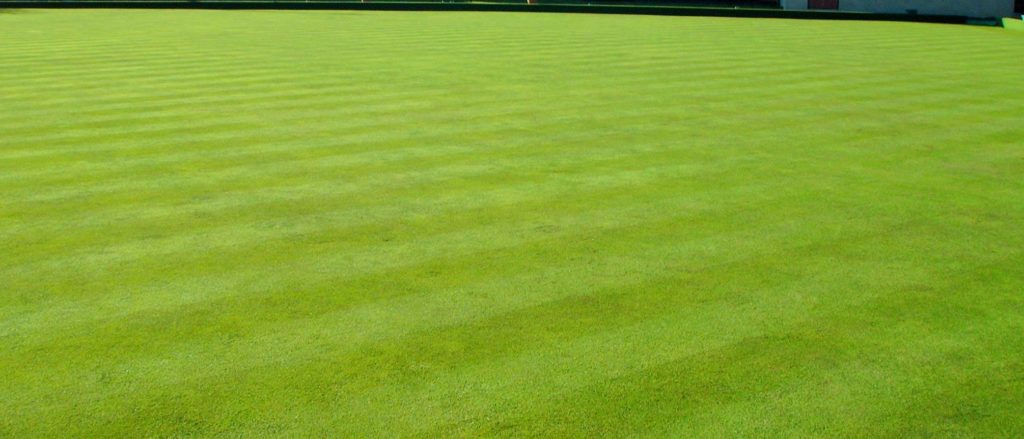 Poa annua to bent/fescue