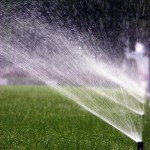 Irrigation, how much is enough?