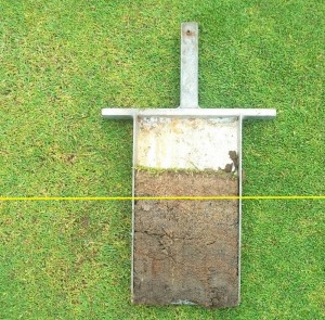 thatch builds up quickly on unhealthy greens