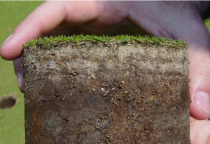 Distinct layers in soil profile sample