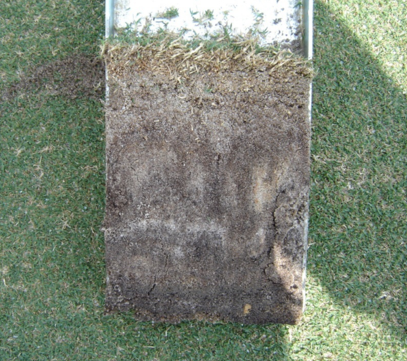 Distinct layers in soil profile