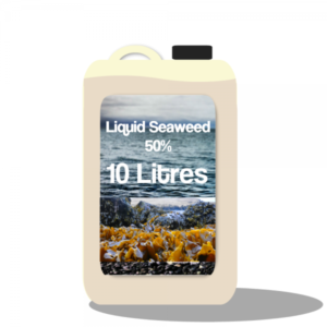Symbio Liquid Seaweed 50%