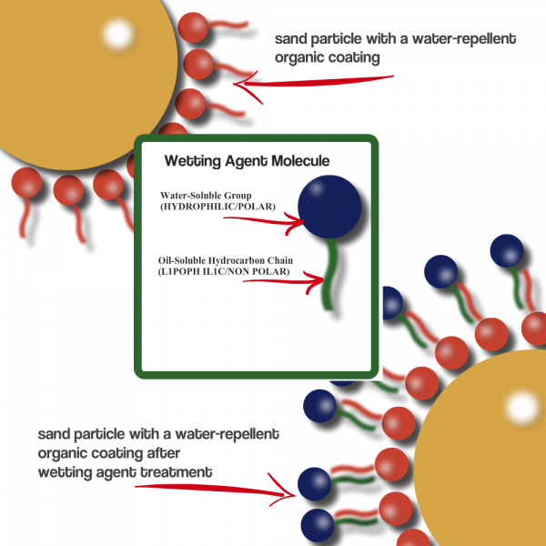 How to Fix Hydrophobic & Water-Repellent Soils