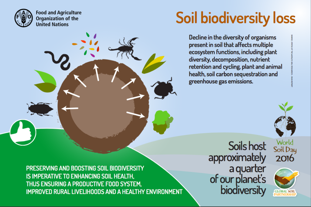 World Soil Day and Natural Greenkeeping Bowls Central