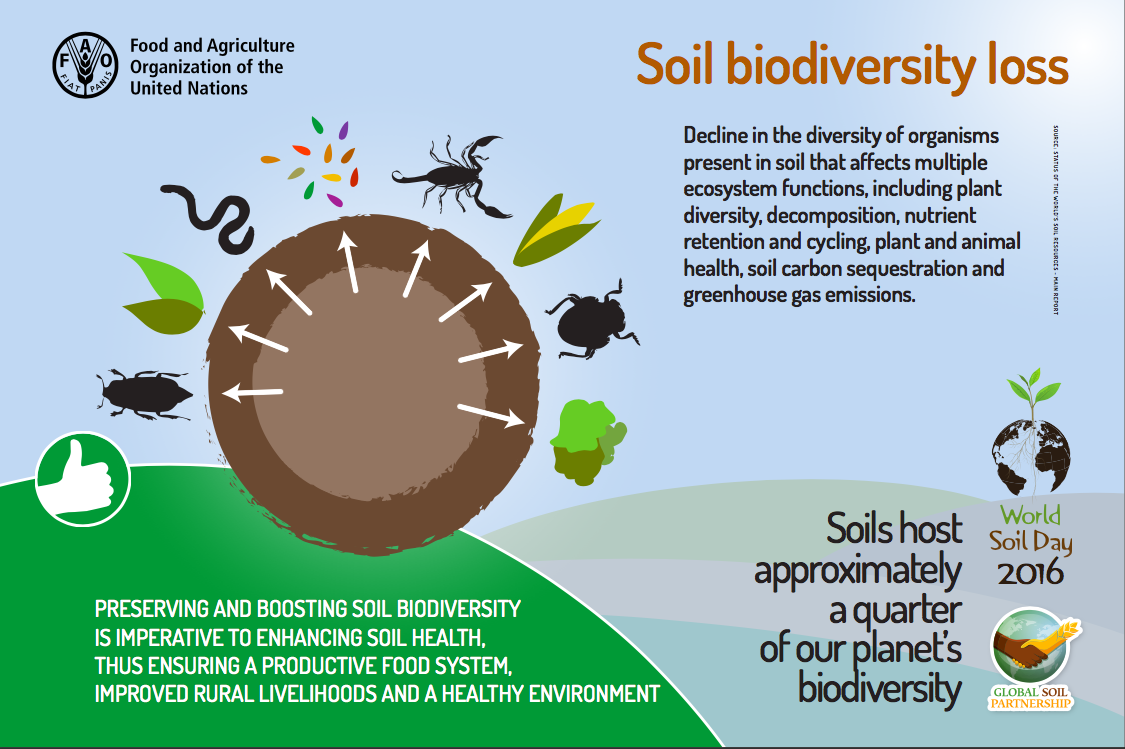 Loss of Soil Biodiversity