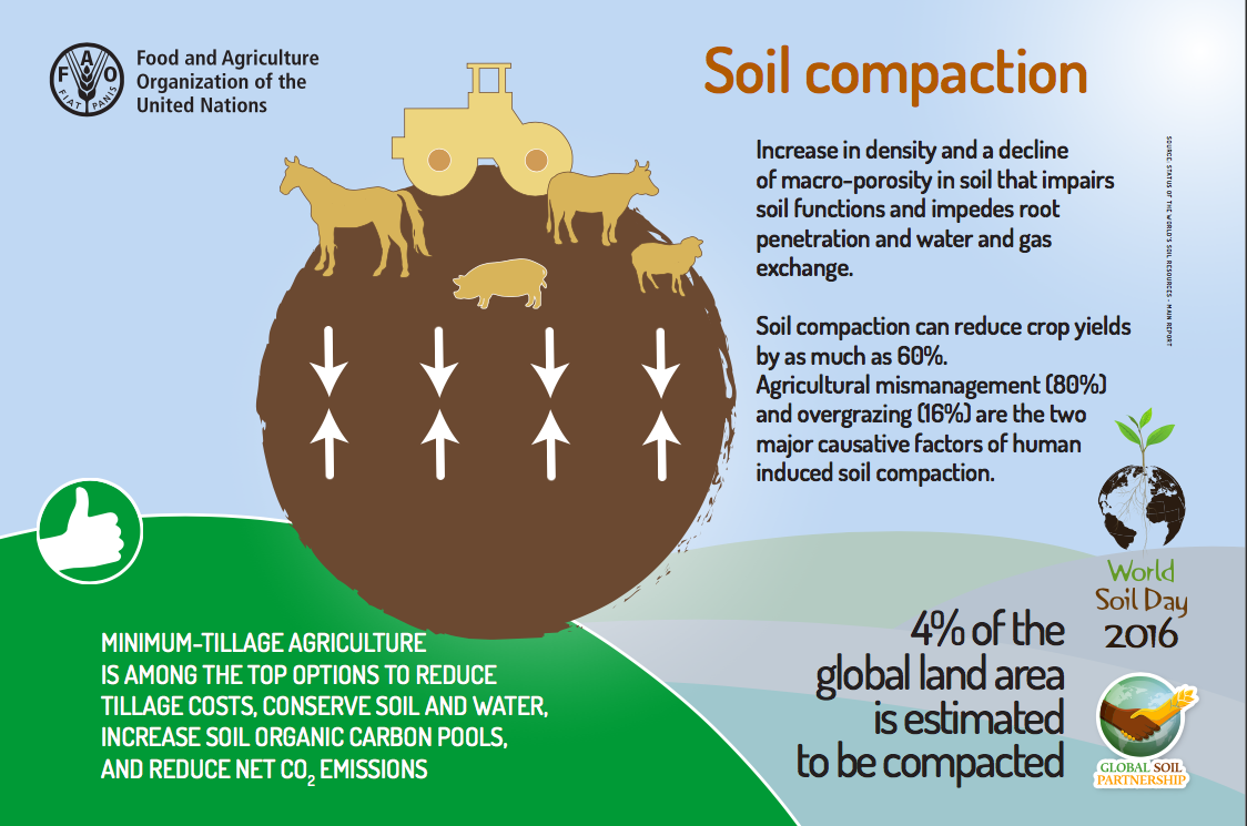 Soil Compaction