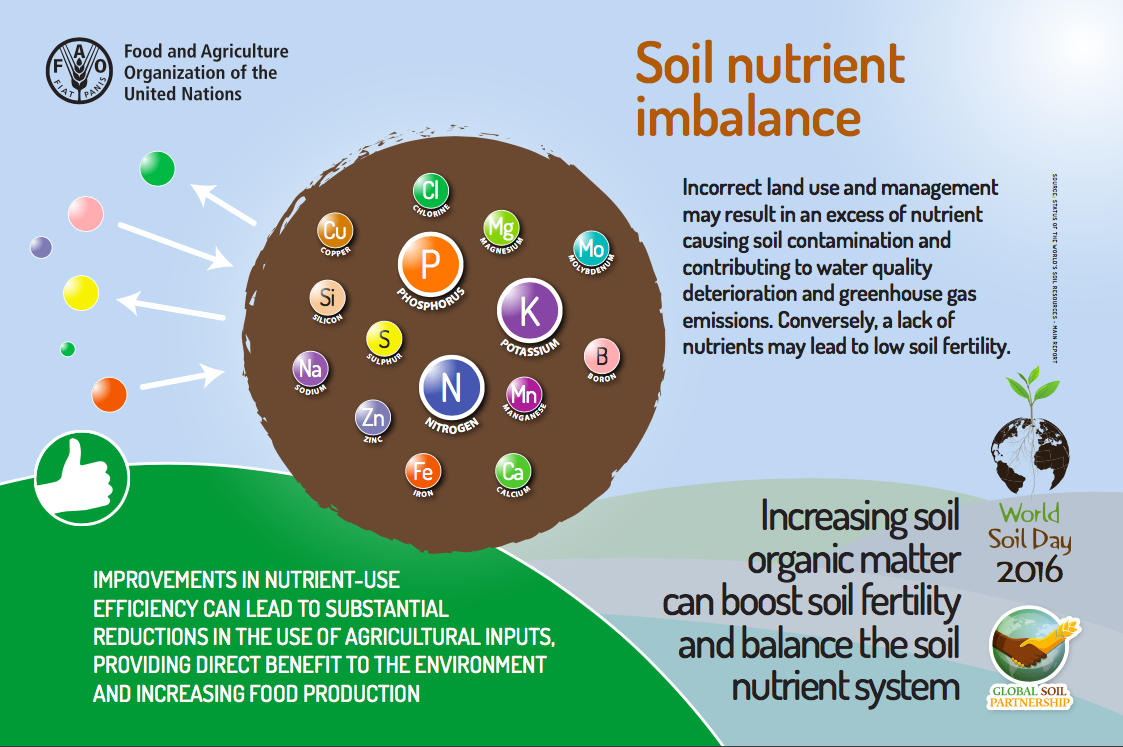 Soil Nutrient Imbalance