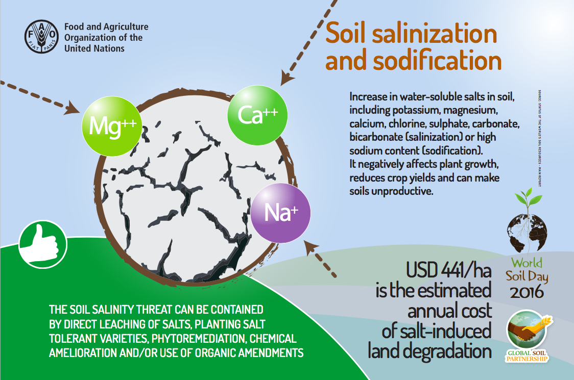 Soil Salinisation