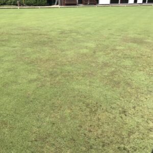 LDP Before