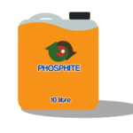Phosphite