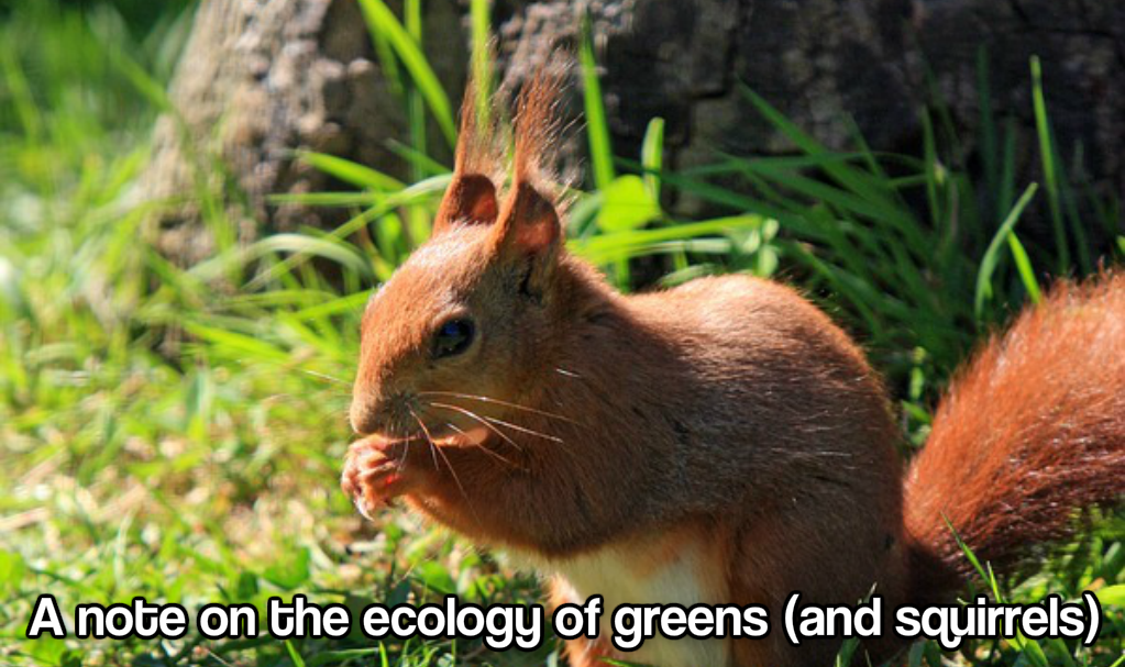 A note on the ecology of greens (and squirrels)