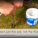 soil sampling
