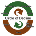 Breaking into the Circle of Decline