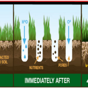 Bowling Green Maintenance Tips - Bowls Central