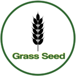 Grass Seed