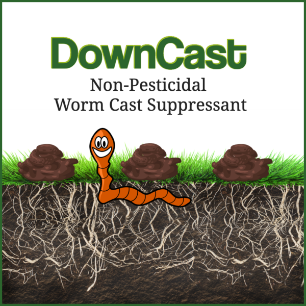 Downcast Worm cast Suppressant or fine turf