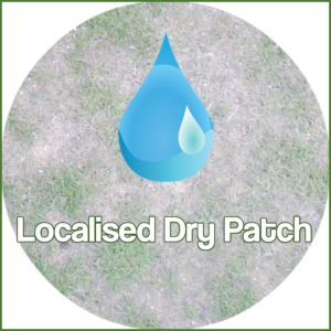 Localised Dry Patch (LDP)