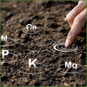 Soil Analysis