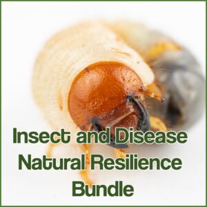 Insect and Disease 3 Pronged Resilience Bundle