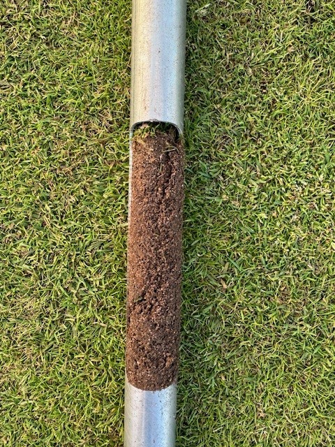 soil core sample