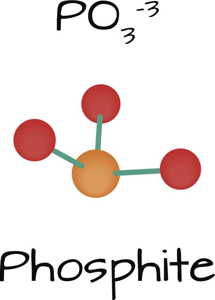 Phosphite Ion