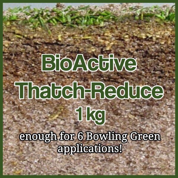 BioActive Thatch Reduce (enough for 6 bowling green applications)