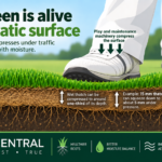 The green is alive thatch layer discrepancies